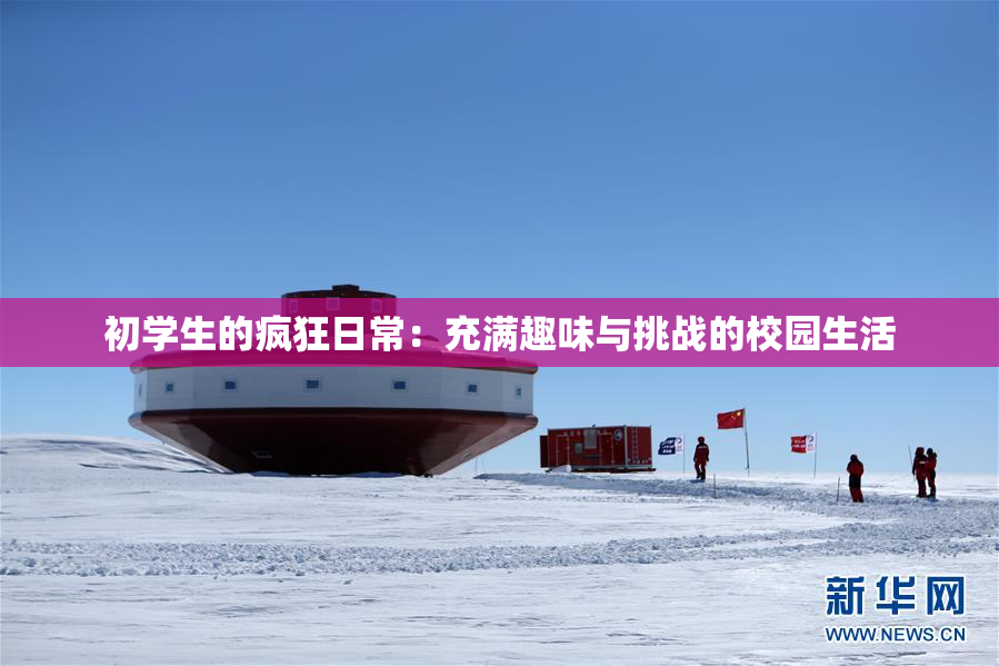 初学生的疯狂日常：充满趣味与挑战的校园生活