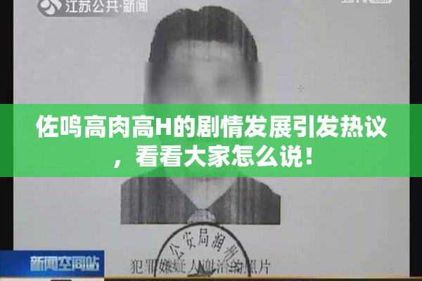 佐鸣高肉高H的剧情发展引发热议，看看大家怎么说！