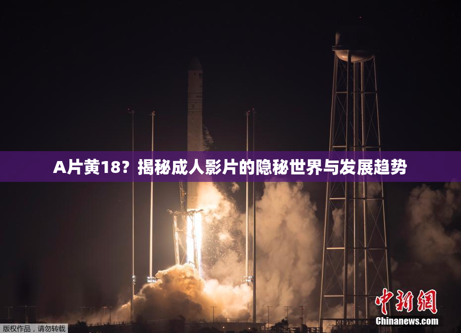 A片黄18？揭秘成人影片的隐秘世界与发展趋势