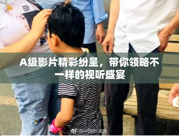 A级影片精彩纷呈，带你领略不一样的视听盛宴