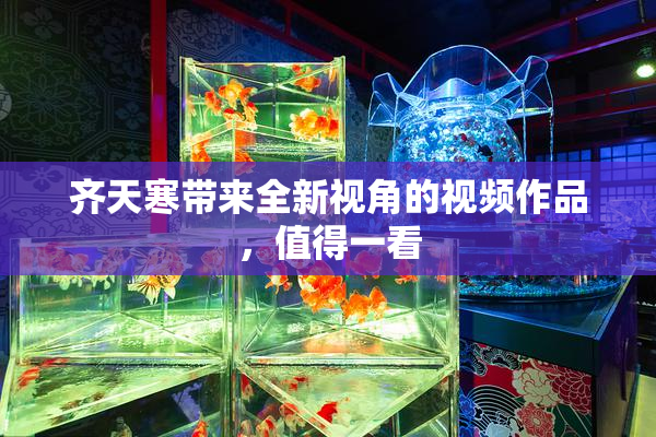 齐天寒带来全新视角的视频作品，值得一看