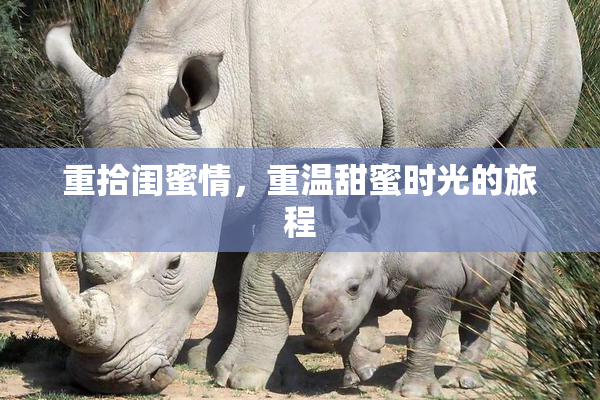 重拾闺蜜情，重温甜蜜时光的旅程