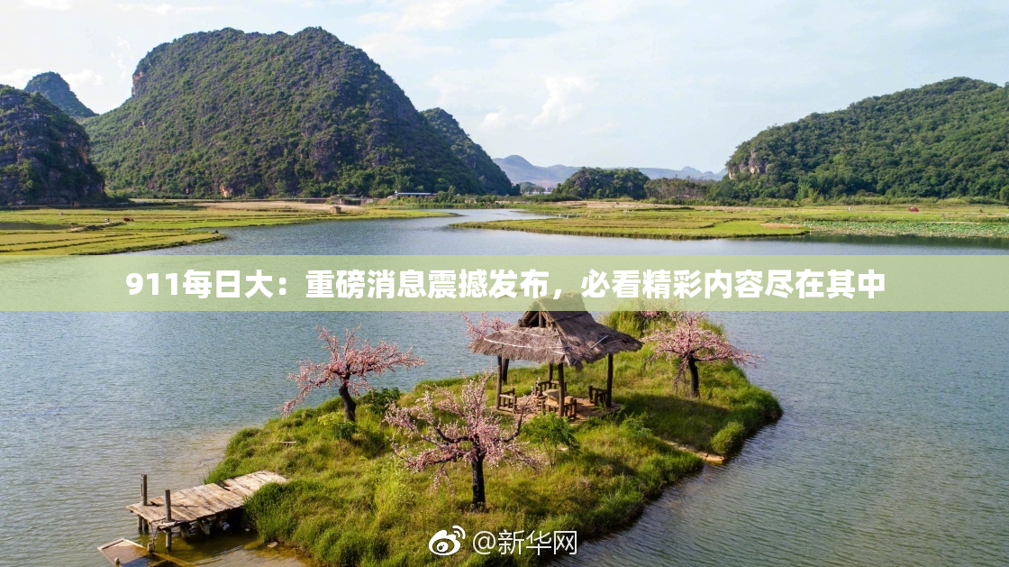 911每日大：重磅消息震撼发布，必看精彩内容尽在其中