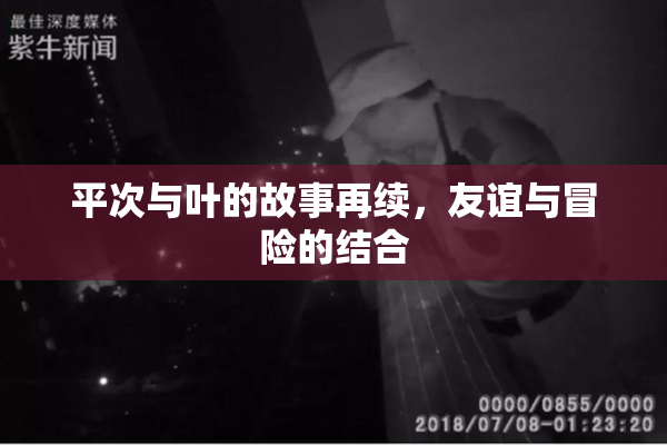 平次与叶的故事再续，友谊与冒险的结合