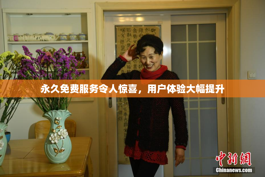 永久免费服务令人惊喜，用户体验大幅提升