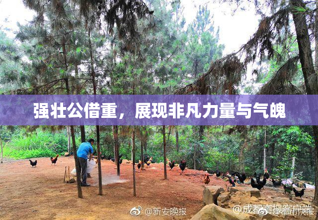 强壮公借重，展现非凡力量与气魄