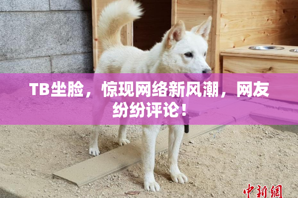 TB坐脸，惊现网络新风潮，网友纷纷评论！