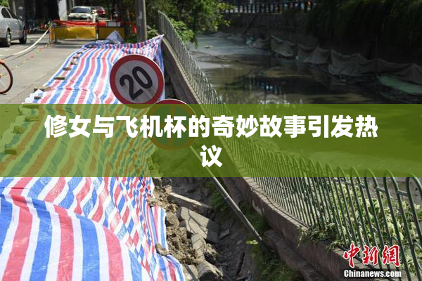 修女与飞机杯的奇妙故事引发热议