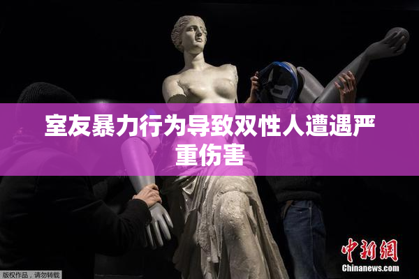 室友暴力行为导致双性人遭遇严重伤害