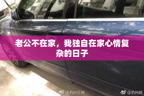 老公不在家，我独自在家心情复杂的日子