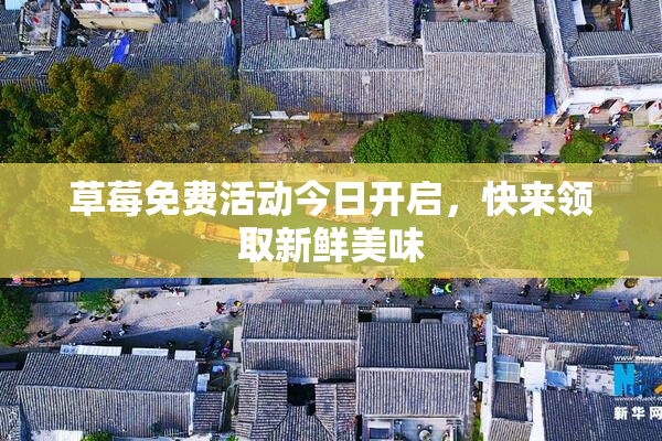 草莓免费活动今日开启，快来领取新鲜美味