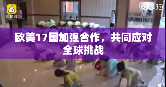 欧美17国加强合作，共同应对全球挑战