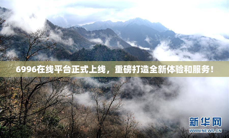 6996在线平台正式上线，重磅打造全新体验和服务！