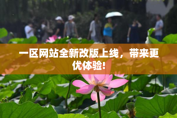 一区网站全新改版上线，带来更优体验!