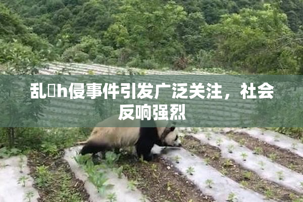 乱婬h侵事件引发广泛关注，社会反响强烈