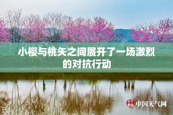 小樱与桃矢之间展开了一场激烈的对抗行动