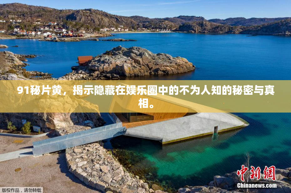 91秘片黄，揭示隐藏在娱乐圈中的不为人知的秘密与真相。
