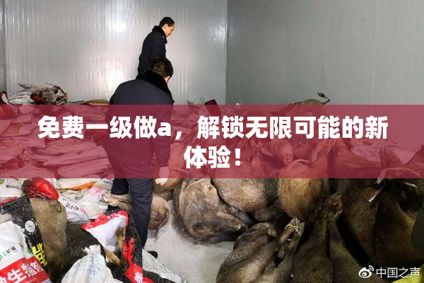 免费一级做a，解锁无限可能的新体验！