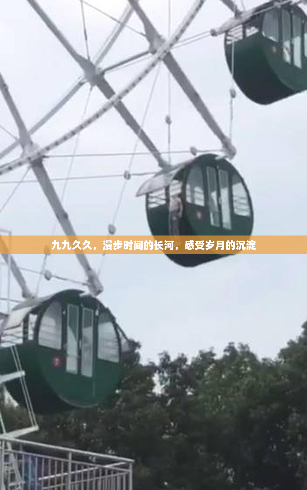 九九久久，漫步时间的长河，感受岁月的沉淀