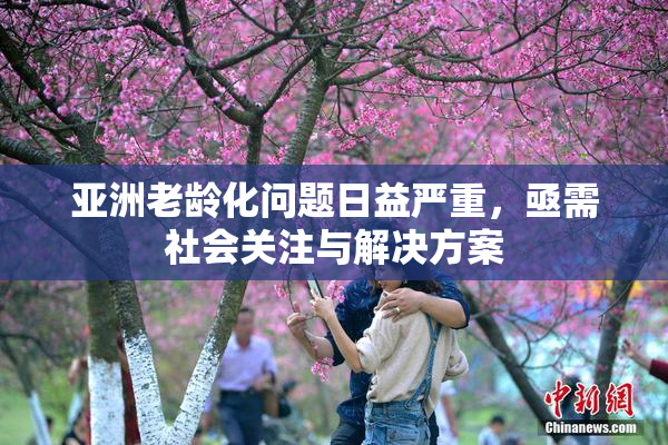 亚洲老龄化问题日益严重，亟需社会关注与解决方案