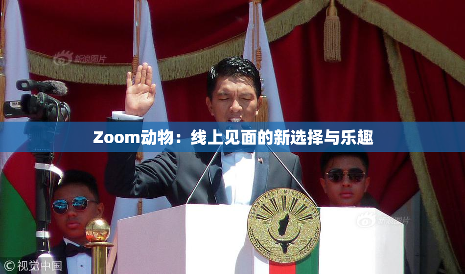 Zoom动物：线上见面的新选择与乐趣