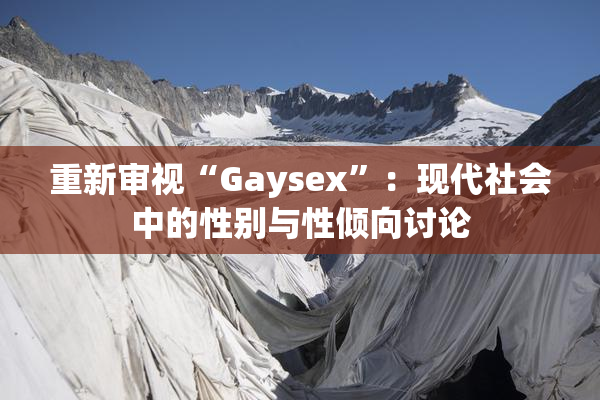 重新审视“Gaysex”：现代社会中的性别与性倾向讨论