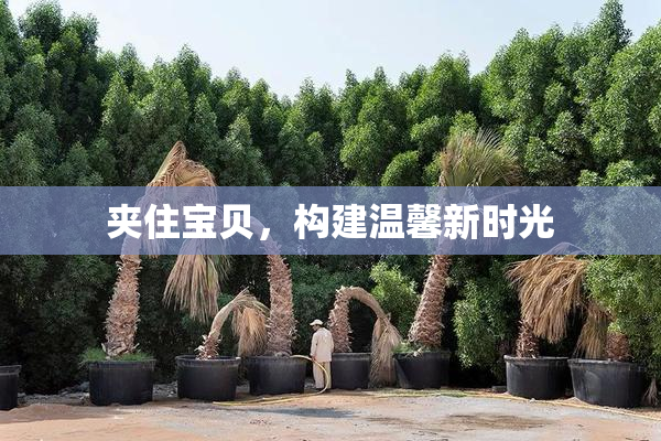 夹住宝贝，构建温馨新时光