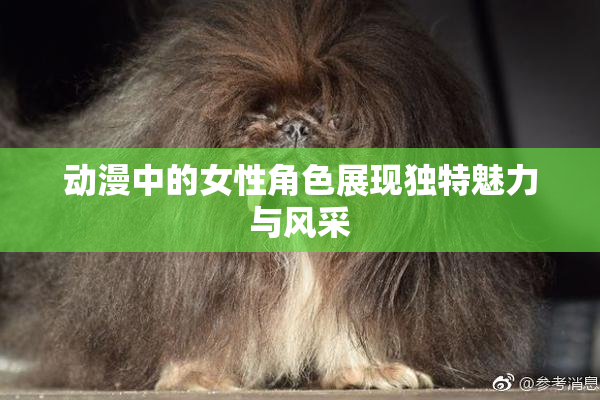 动漫中的女性角色展现独特魅力与风采