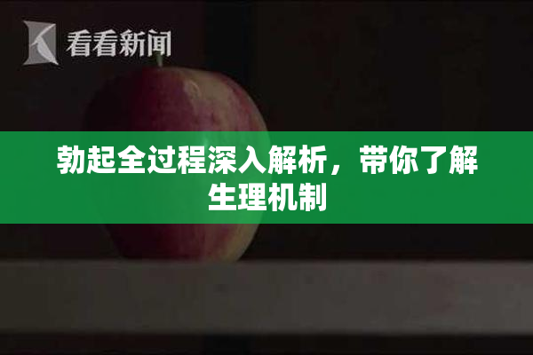 勃起全过程深入解析，带你了解生理机制
