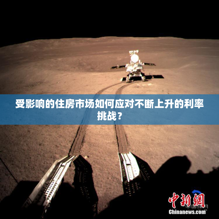 受影响的住房市场如何应对不断上升的利率挑战？