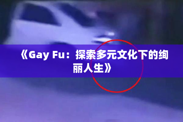 《Gay Fu：探索多元文化下的绚丽人生》