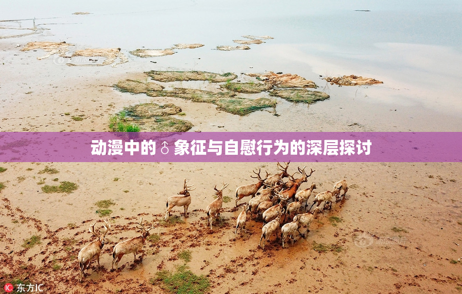 动漫中的♂象征与自慰行为的深层探讨