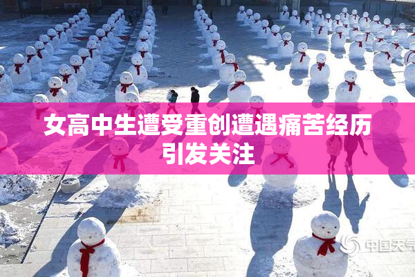 女高中生遭受重创遭遇痛苦经历引发关注