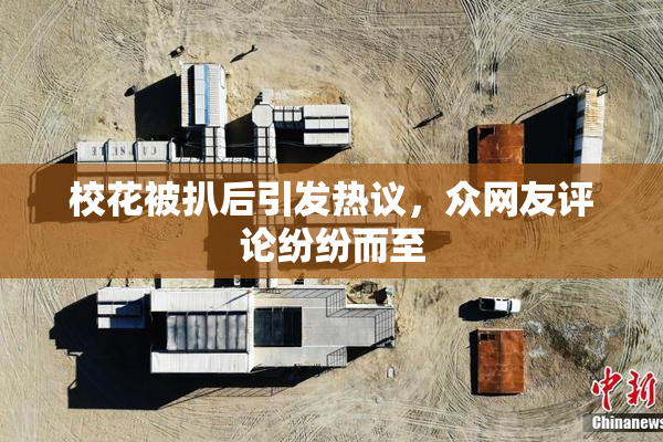 校花被扒后引发热议，众网友评论纷纷而至