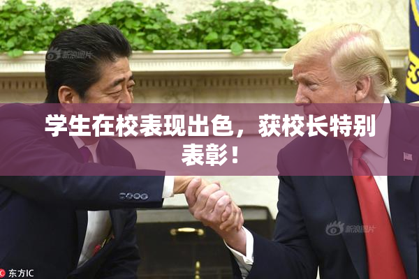 学生在校表现出色，获校长特别表彰！