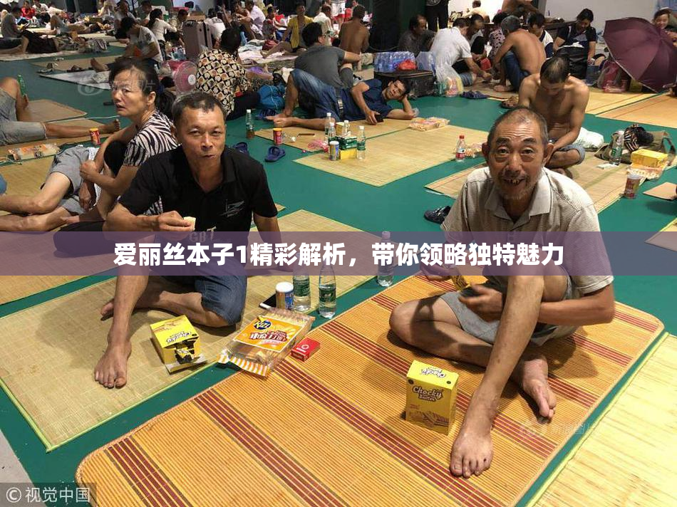 爱丽丝本子1精彩解析，带你领略独特魅力