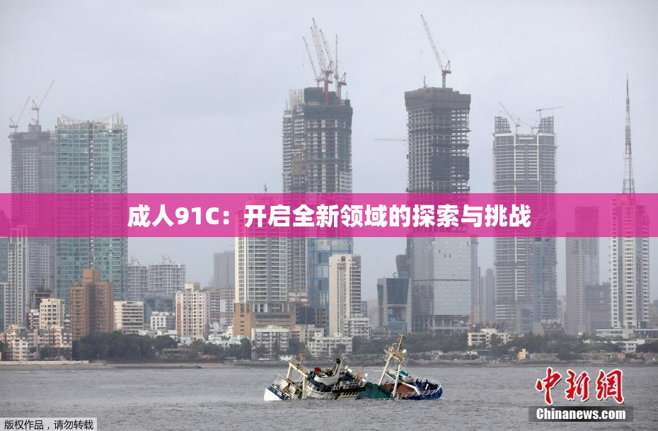 成人91C：开启全新领域的探索与挑战