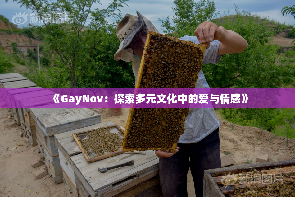 《GayNov：探索多元文化中的爱与情感》