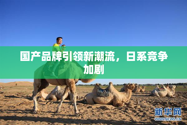 国产品牌引领新潮流，日系竞争加剧