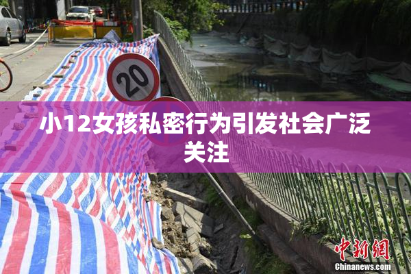 小12女孩私密行为引发社会广泛关注