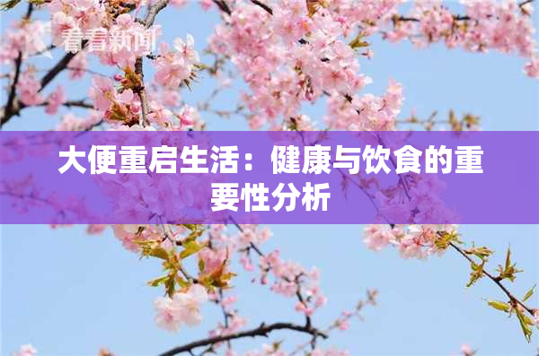 大便重启生活：健康与饮食的重要性分析