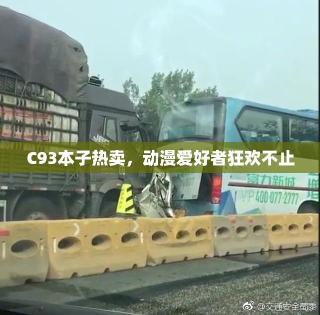 C93本子热卖，动漫爱好者狂欢不止