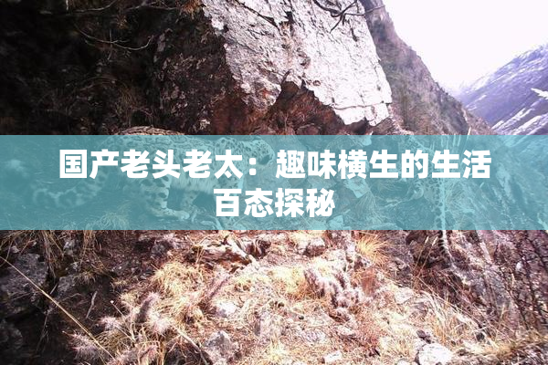 国产老头老太：趣味横生的生活百态探秘