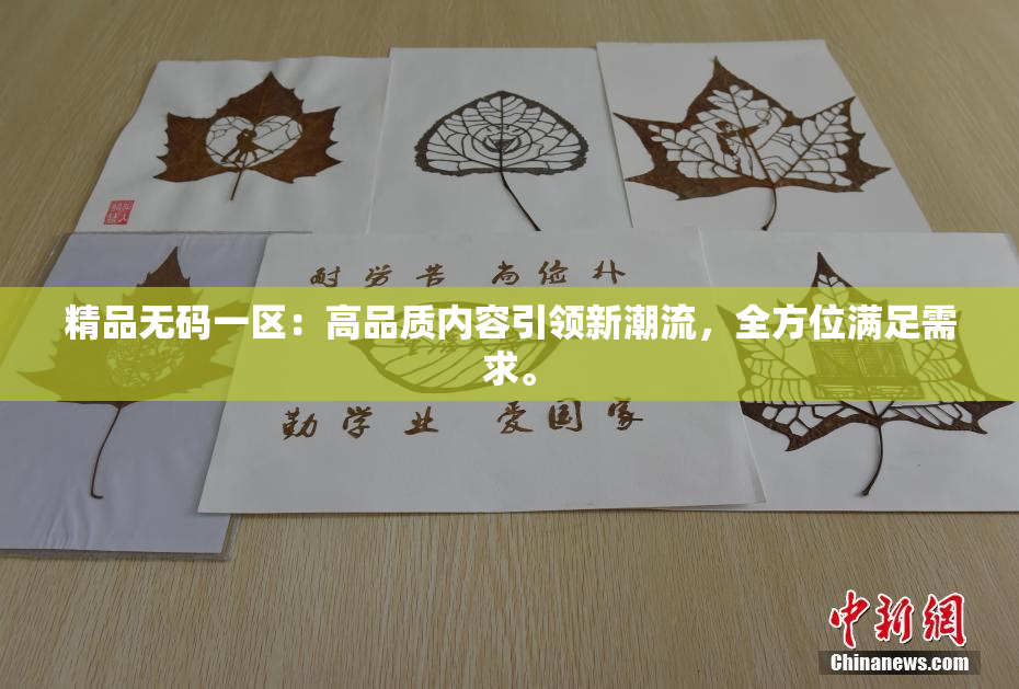 精品无码一区：高品质内容引领新潮流，全方位满足需求。