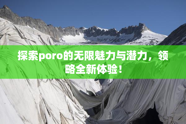 探索poro的无限魅力与潜力，领略全新体验！
