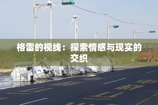 格雷的视线：探索情感与现实的交织