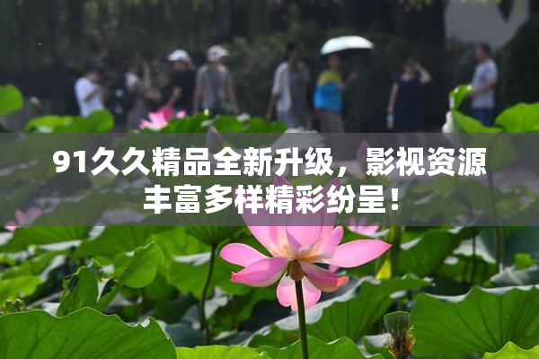 91久久精品全新升级，影视资源丰富多样精彩纷呈！