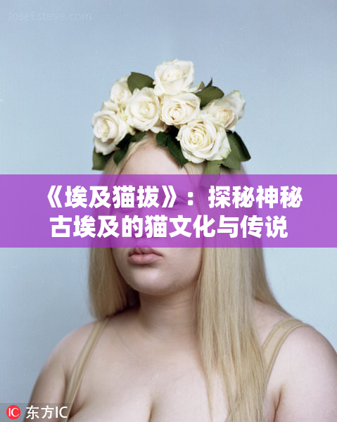《埃及猫拔》：探秘神秘古埃及的猫文化与传说