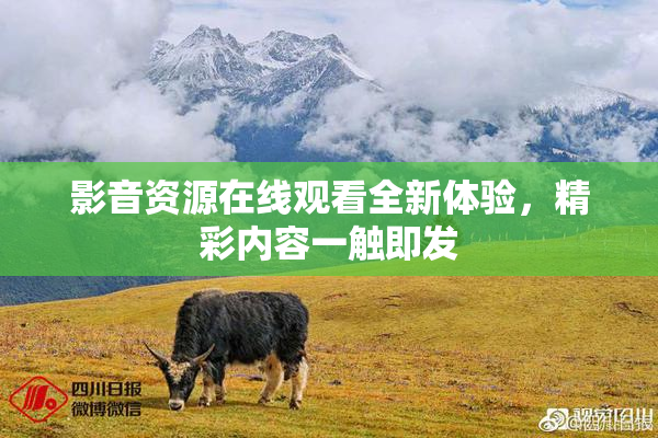 影音资源在线观看全新体验，精彩内容一触即发