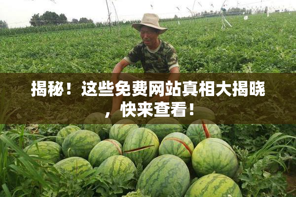 揭秘！这些免费网站真相大揭晓，快来查看！